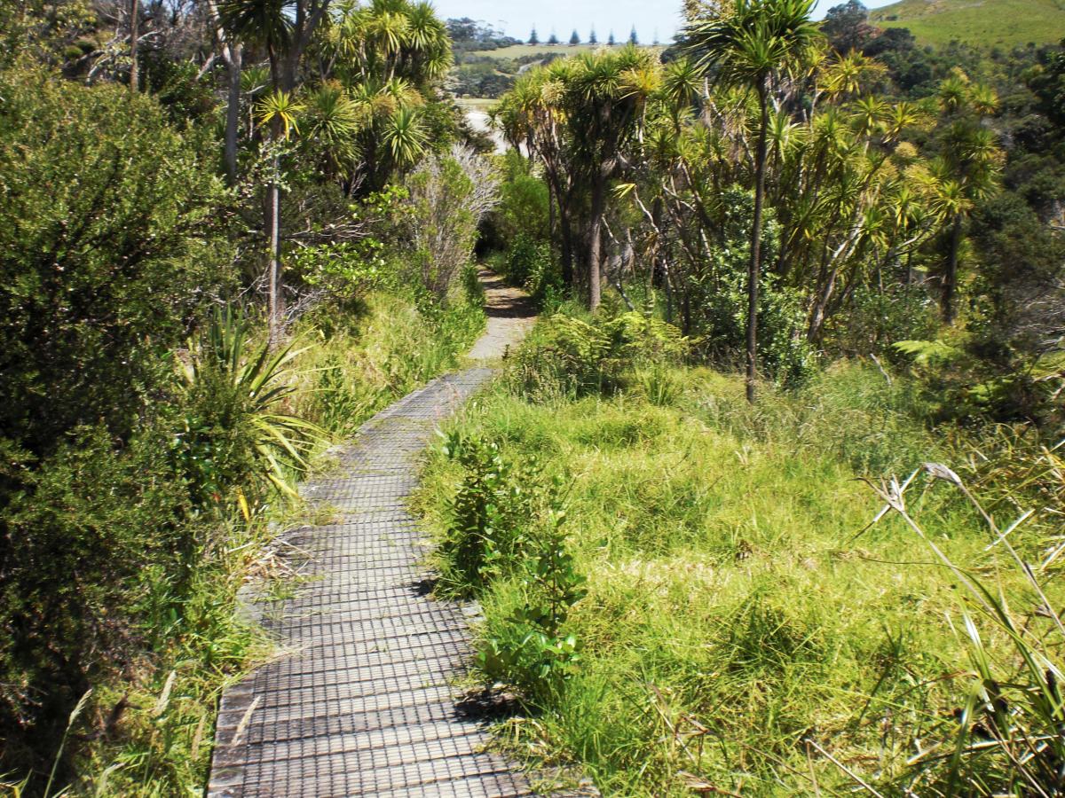 Der Weg zum persönlichen Trading Stil