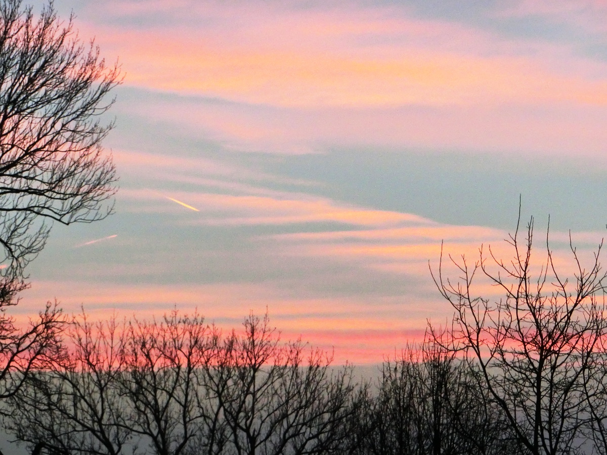 Ausblick auf das Jahr 2015